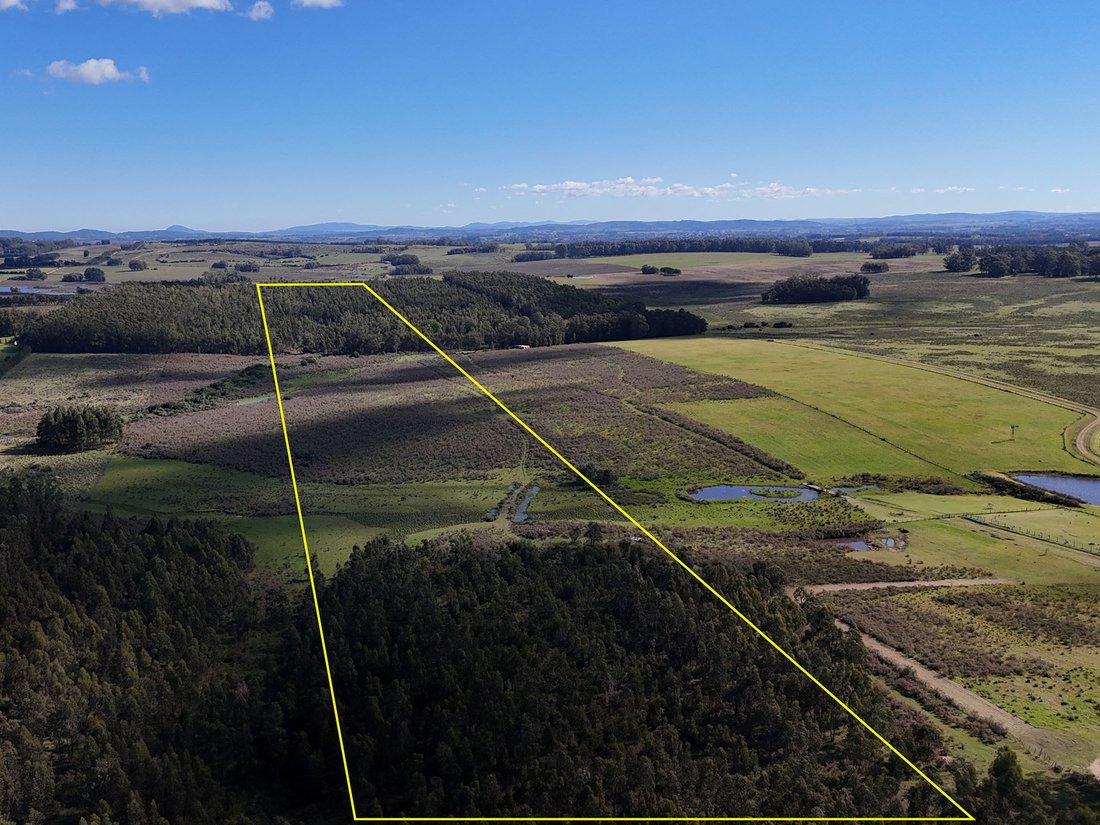 Land in Chacras del Golf, Maldonado Department, Uruguay 2 - 17983052
