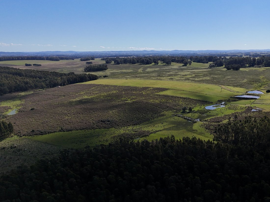 Land in Chacras del Golf, Maldonado Department, Uruguay 5 - 17983052