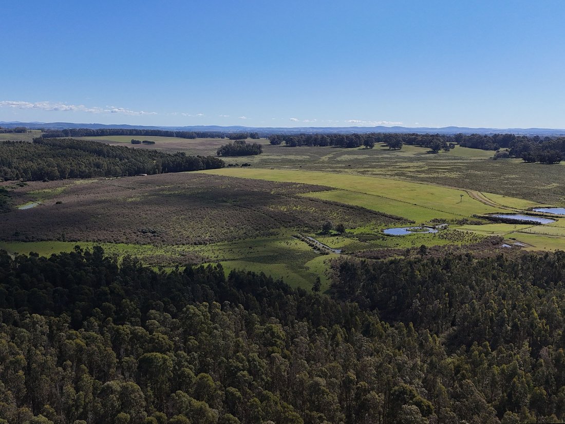 Land in Chacras del Golf, Maldonado Department, Uruguay 1 - 17983052