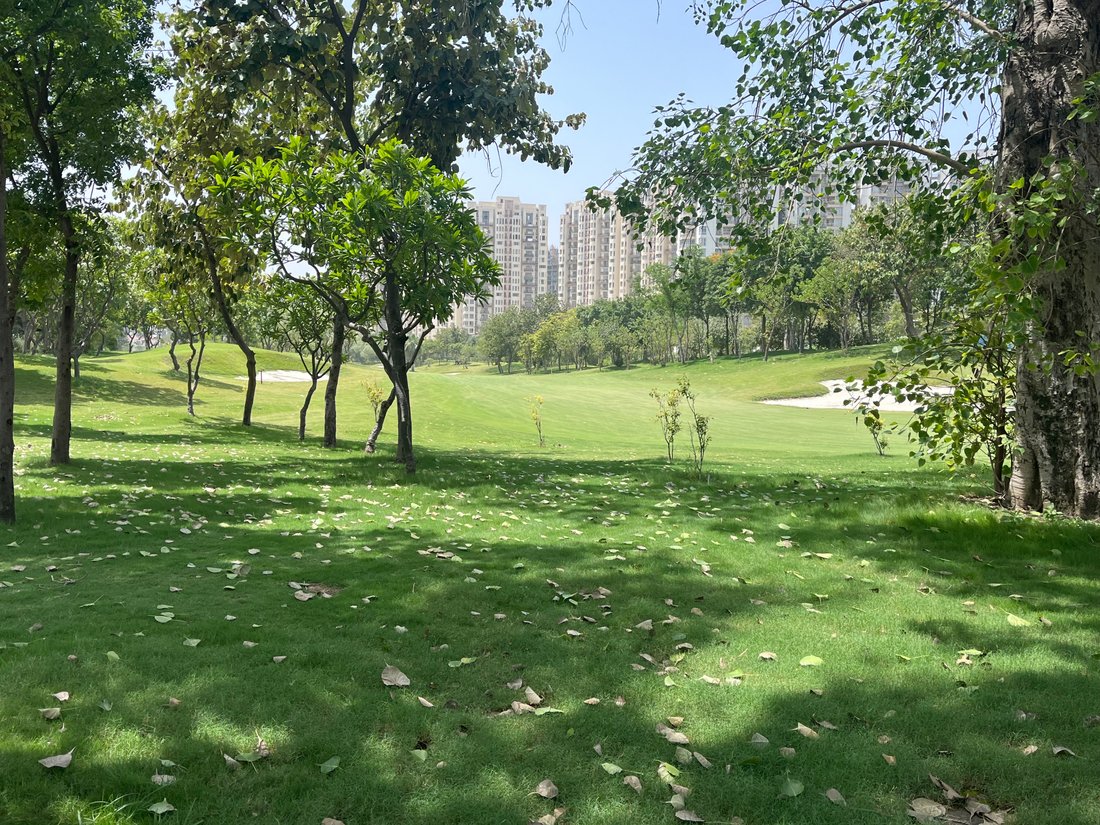 Land in Noida, Uttar Pradesh, India 4 - 17983681