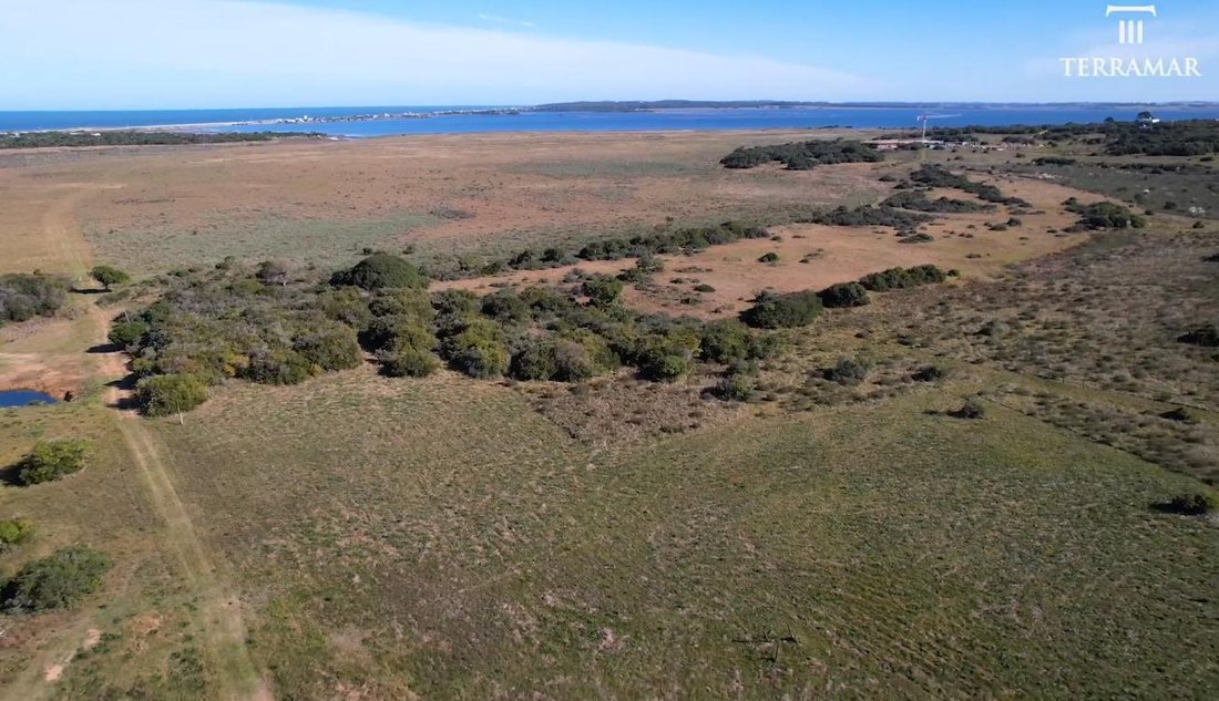 Land in Chacras de Medellin Sur Lac, Maldonado Department, Uruguay 3 - 17985429