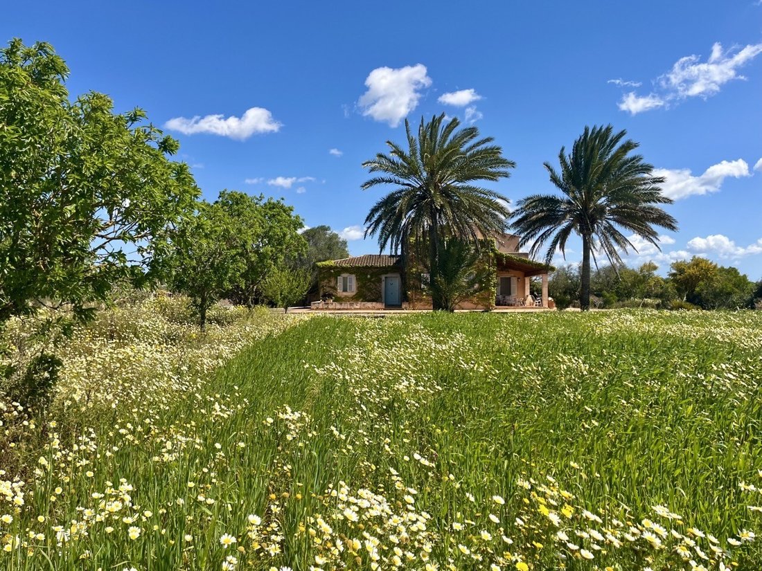 Country House in Campos, Balearic Islands, Spain 2 - 17986221