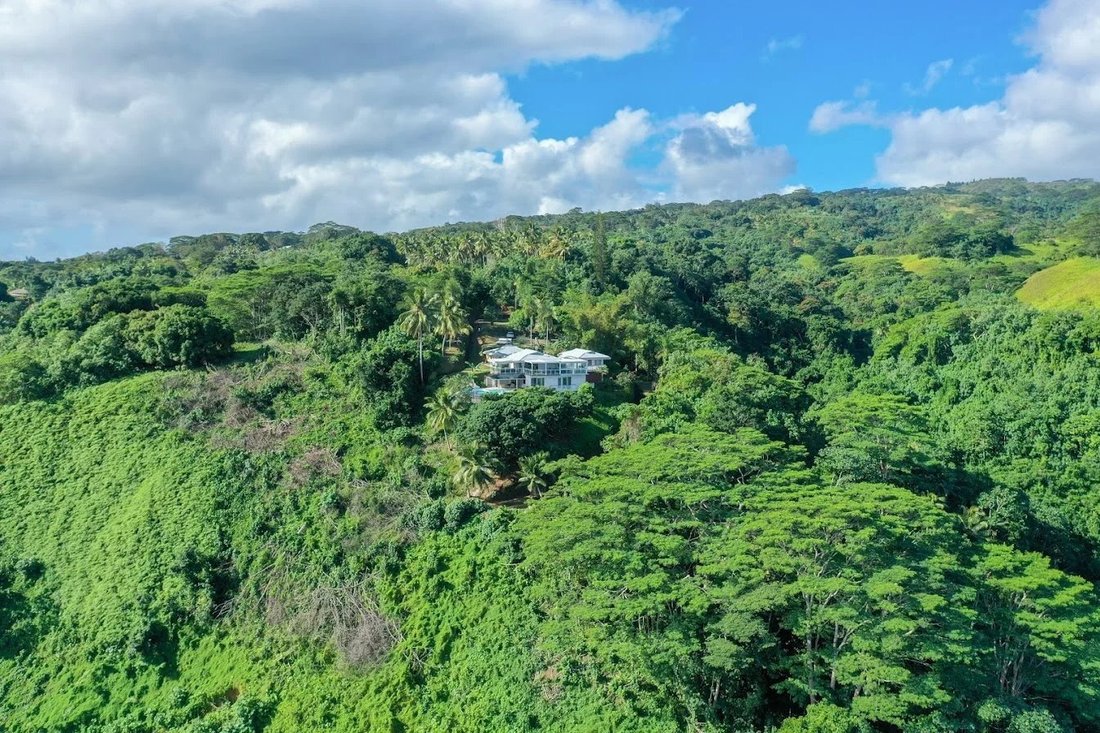 Villa in Taiarapu-Ouest, Windward Islands, French Polynesia 2 - 17985904