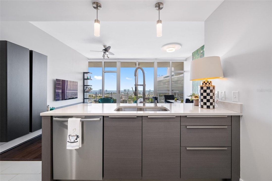 Condo in St. Petersburg, Florida, United States 5 - 17987686
