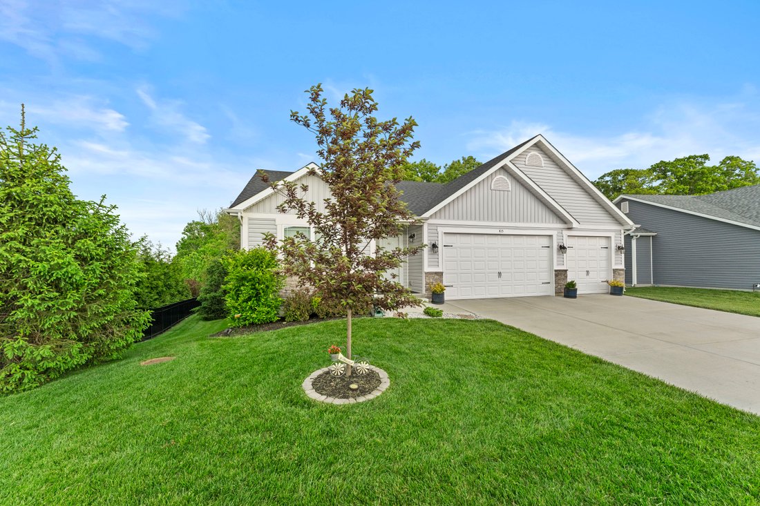 Wentzville, Missouri, United States 3 - 17987115