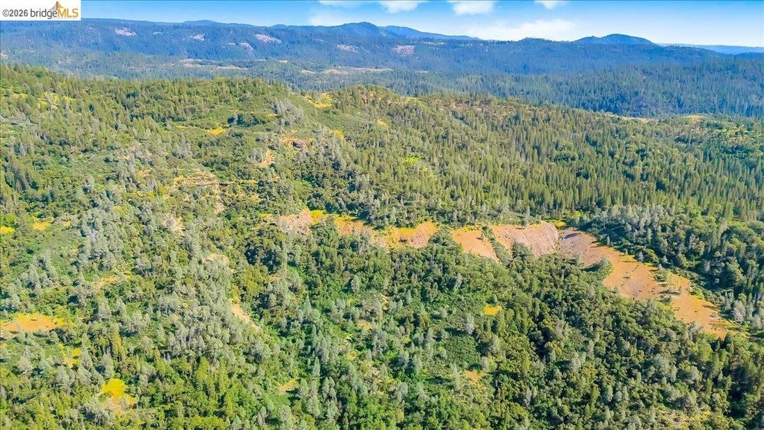 Land in Twain Harte, California, United States 5 - 17989564