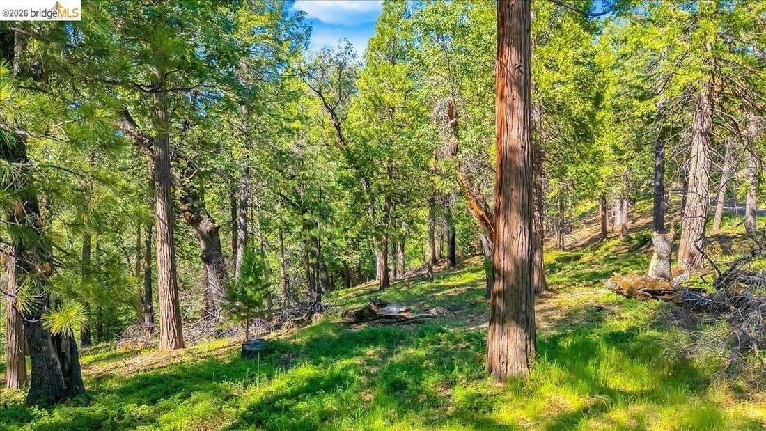 Land in Twain Harte, California, United States 4 - 17989564
