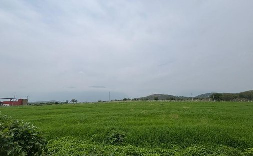 Land in Montemorelos, Nuevo Leon, Mexico 1