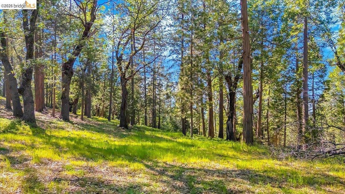 Land in Twain Harte, California, United States 2 - 17989564