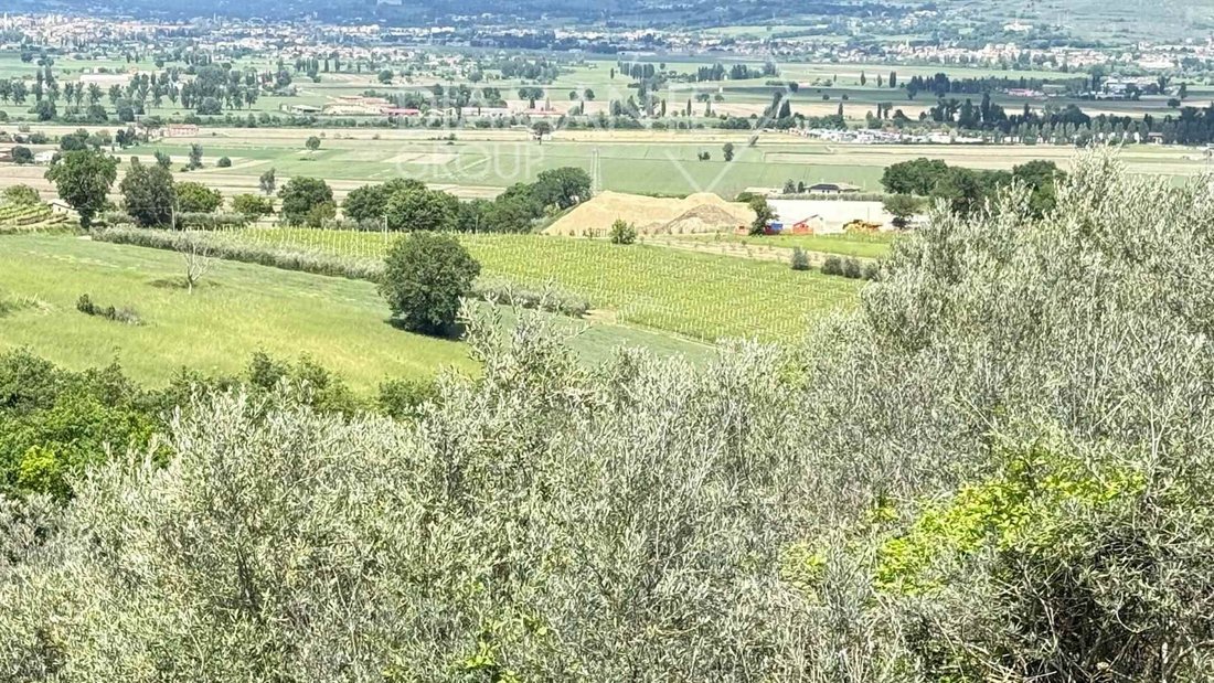 Farm Ranch in Montefalco, Umbria, Italy 4 - 17989476