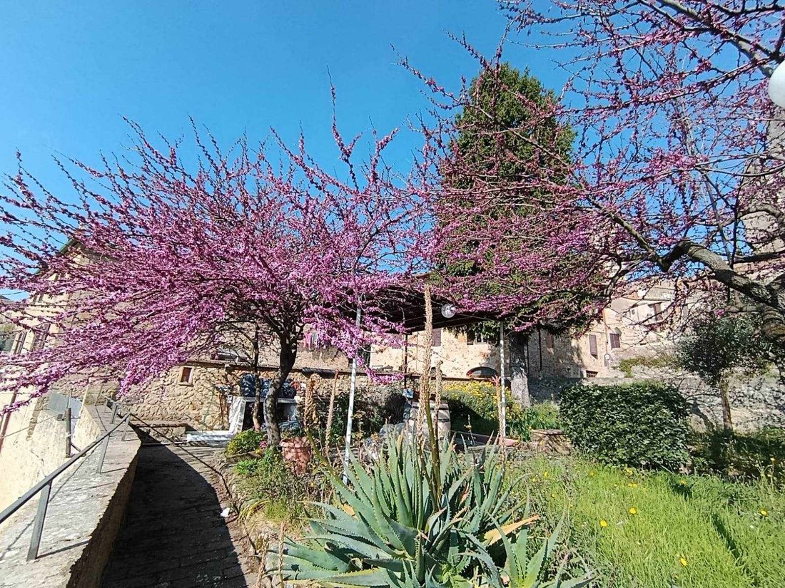 Apartment in San Gimignano, Tuscany, Italy 1 - 17989458