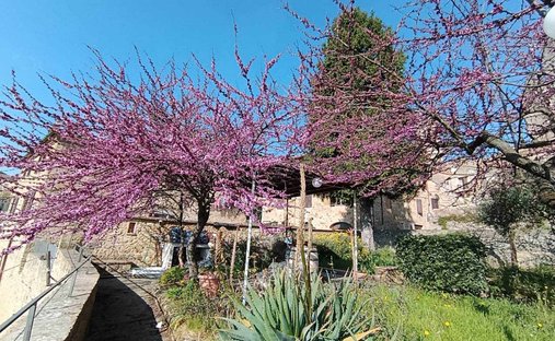 Apartment in San Gimignano, Tuscany, Italy 1