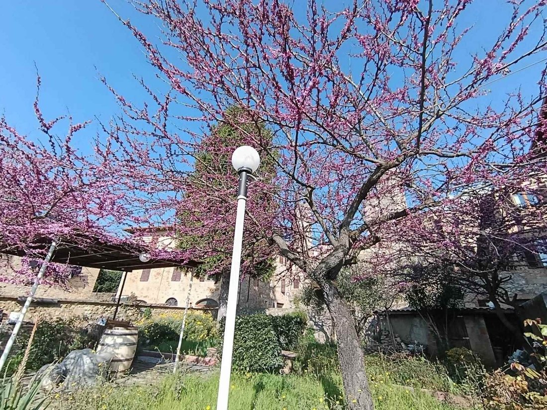 Apartment in San Gimignano, Tuscany, Italy 2 - 17989458