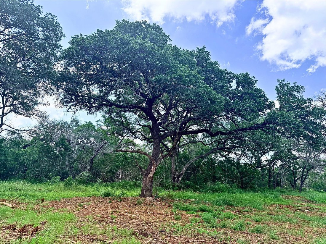 Land in San Marcos, Texas, United States 3 - 17989145