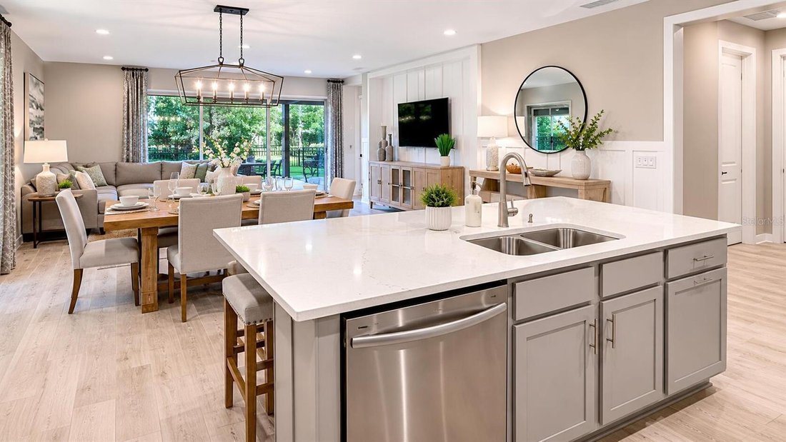 House in Zephyrhills, Florida, United States 5 - 17984431
