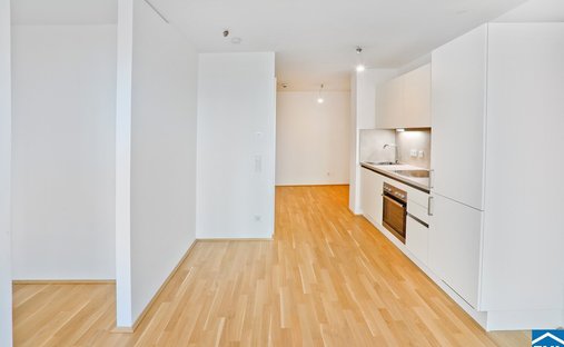 Apartment in Vienna, Wien, Austria 1