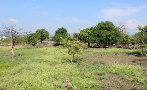 Land in Temixco, Morelos, Mexico 1