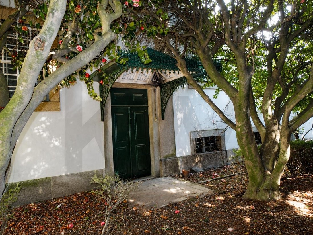 Farm Ranch in Almacave, Viseu District, Portugal 5 - 17991001