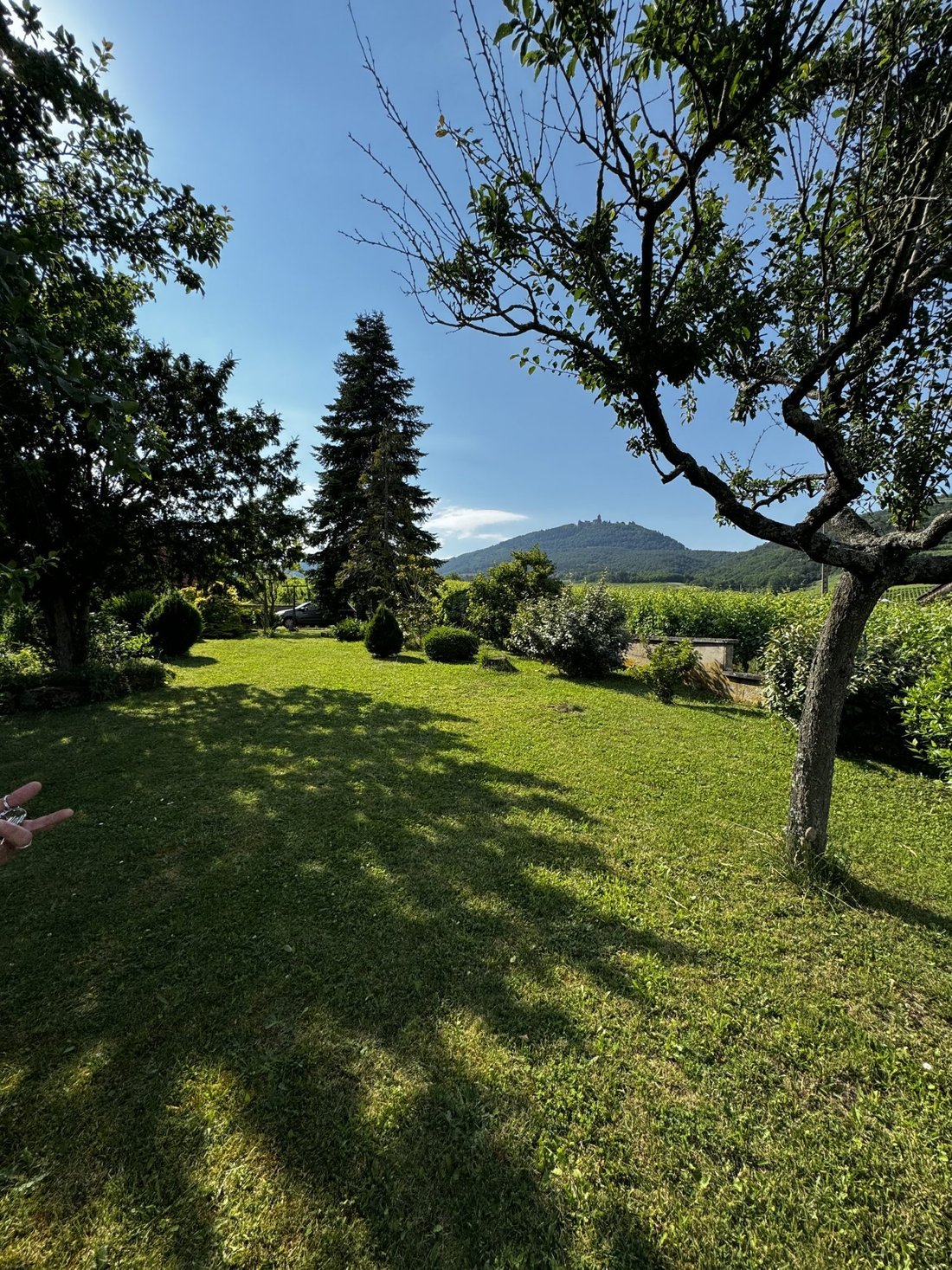 House in Saint-Hippolyte, Grand Est, France 2 - 17990520