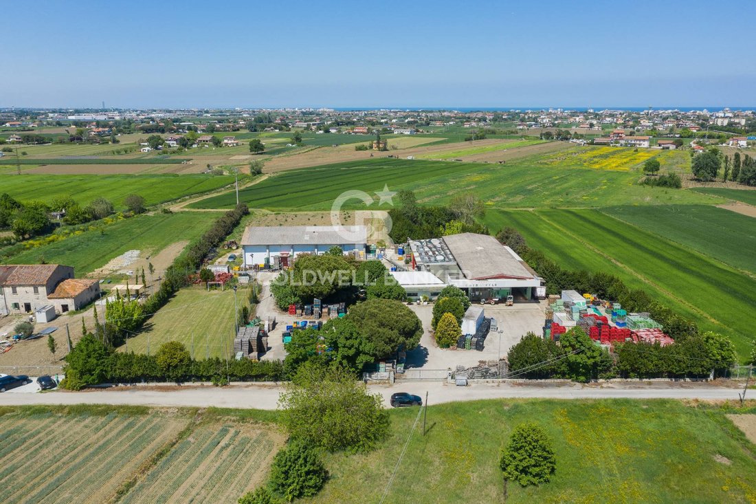 Farm Ranch in Bellaria-Igea Marina, Emilia-Romagna, Italy 2 - 17995522