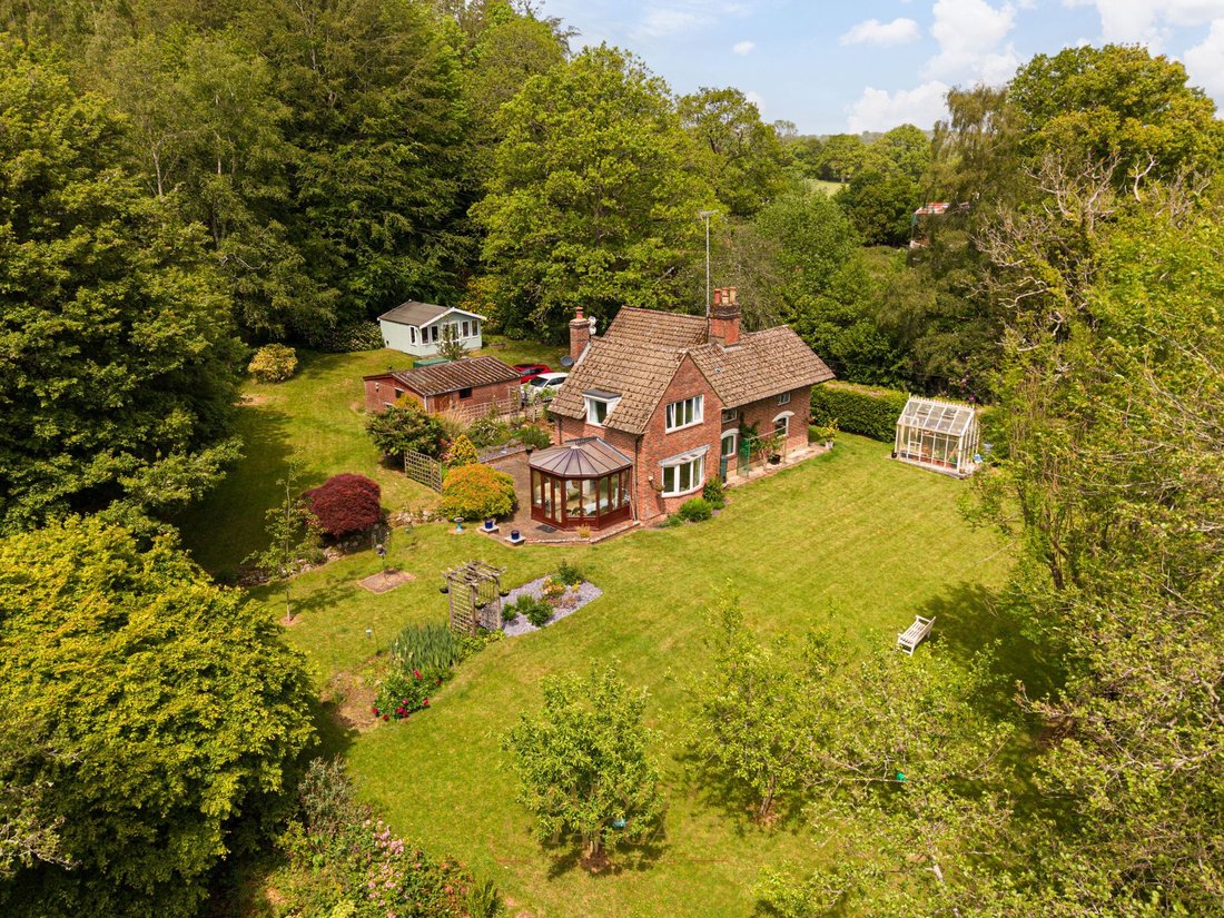 House in Ashurstwood, England 1 - 17985816