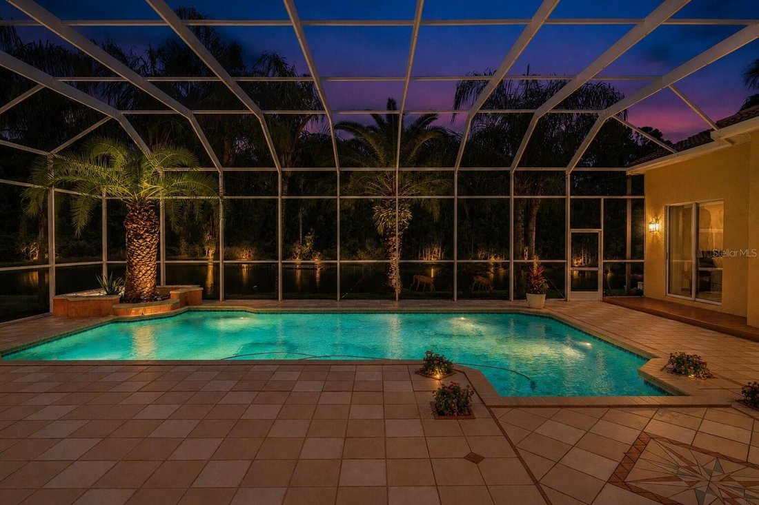 House in Palm Harbor, Florida, United States 4 - 17933883