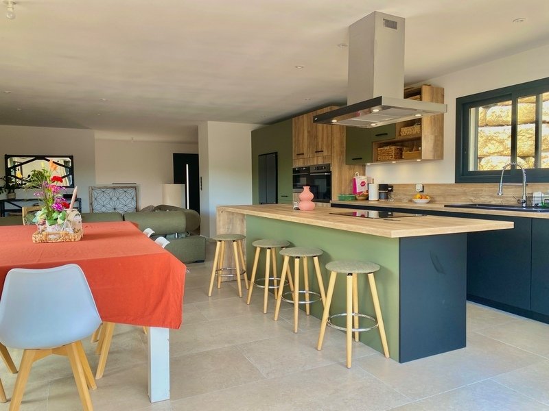 House in Saint-Jean-du-Pin, Occitania, France 4 - 17989374