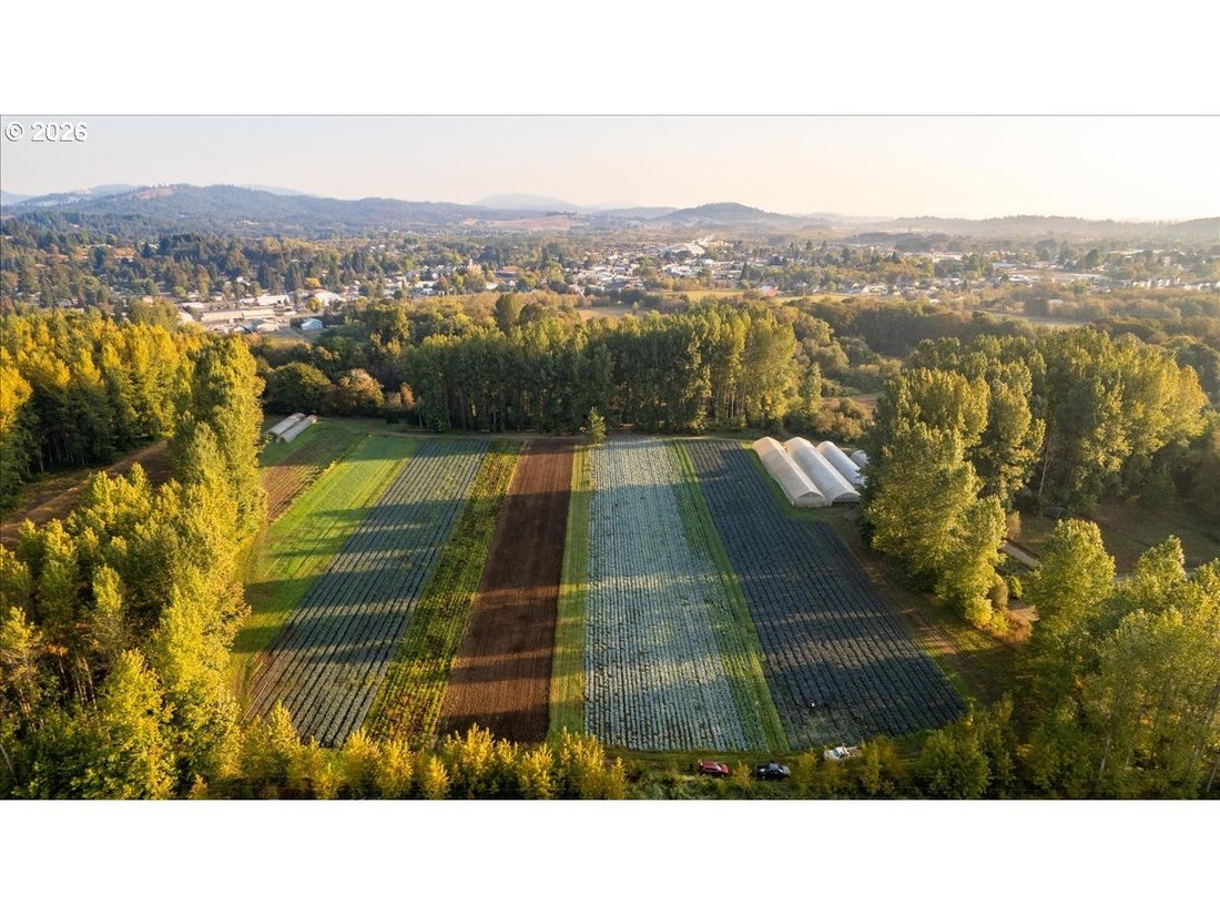 House in Philomath, Oregon, United States 2 - 17989533