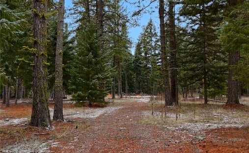 Land in Cle Elum, Washington, United States 1