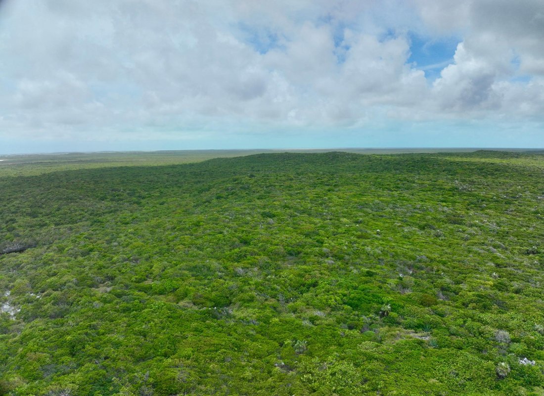 Land in Deadman's Cay, Bahamas 3 - 17987036