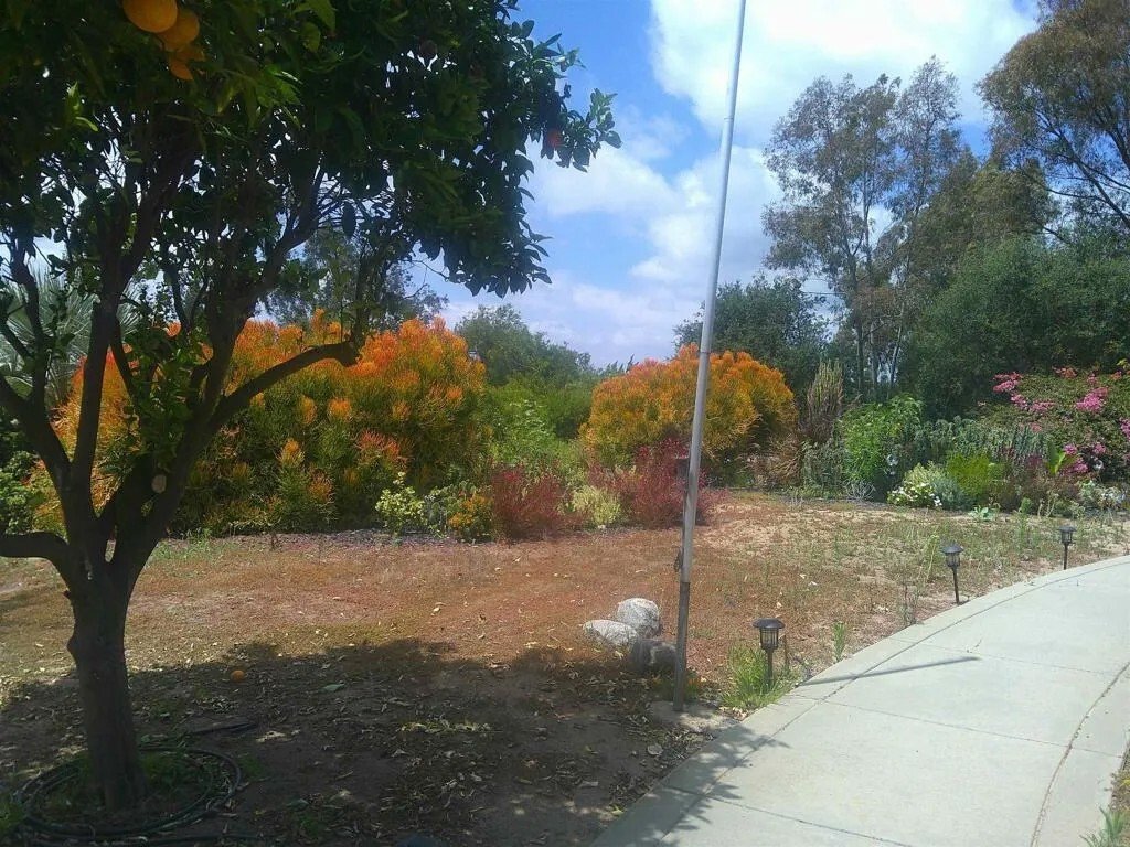 House in Fallbrook, California, United States 3 - 17988509