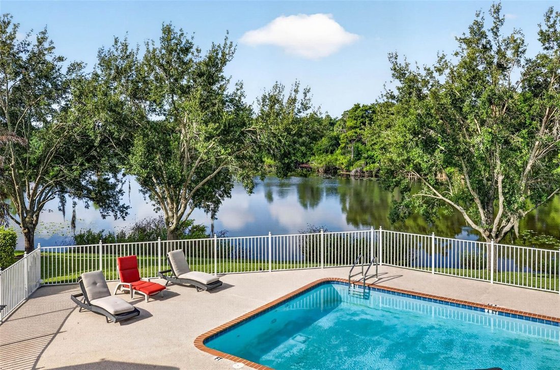 House in Temple Terrace, Florida, United States 3 - 17990999