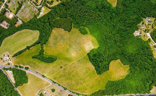 Land in Walterboro, South Carolina, United States 1