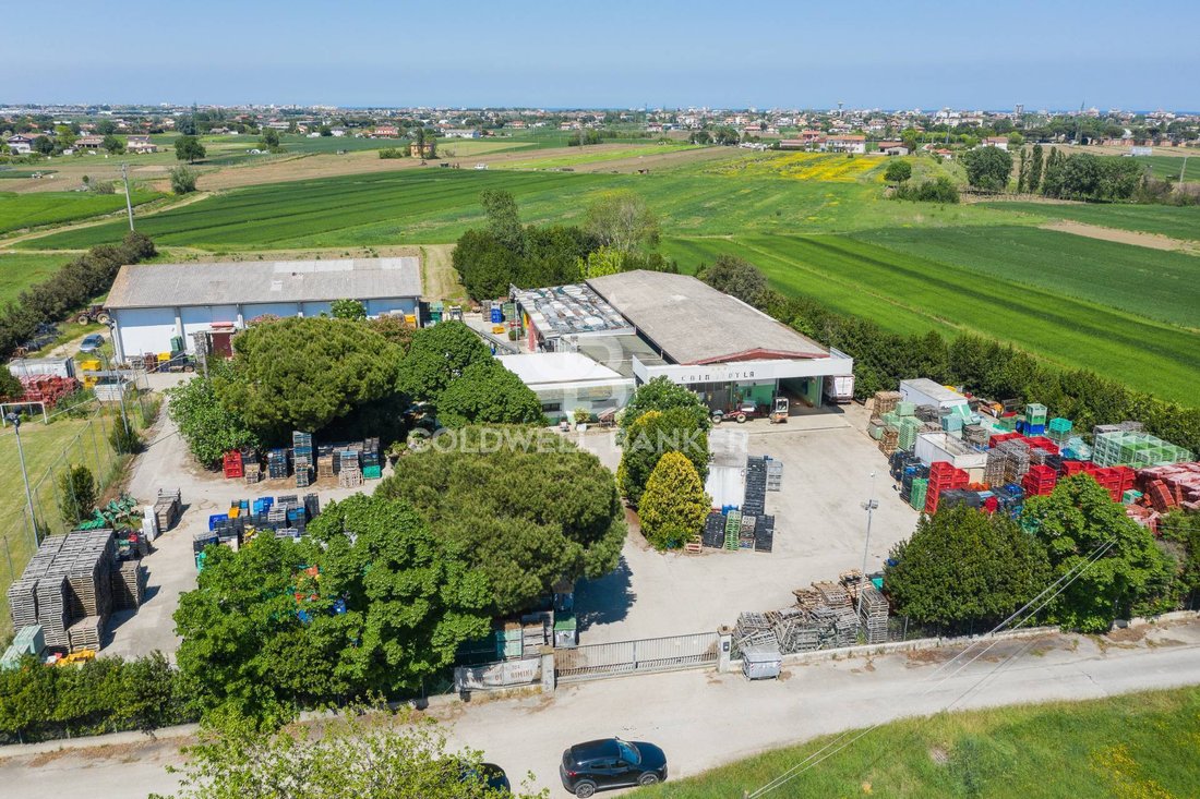 Farm Ranch in Bellaria-Igea Marina, Emilia-Romagna, Italy 4 - 17995522