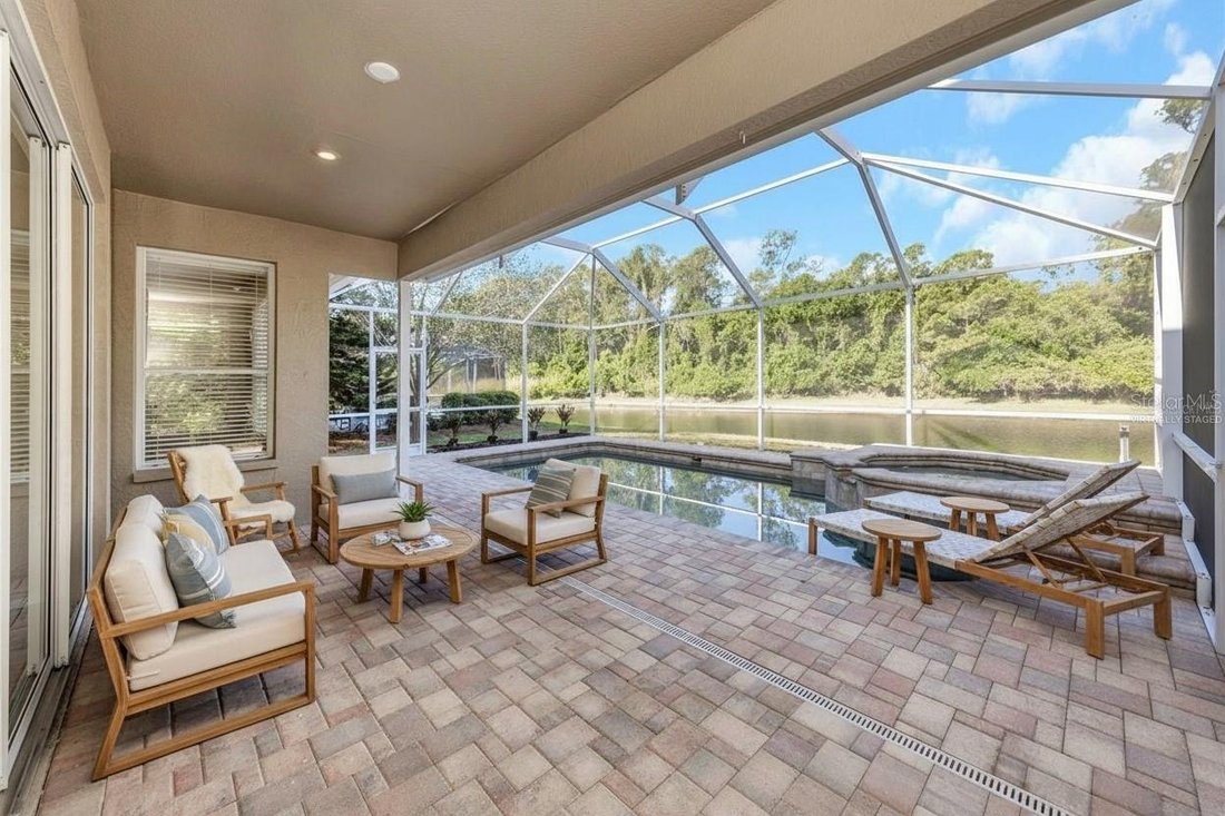 House in Palm Harbor, Florida, United States 5 - 17809046