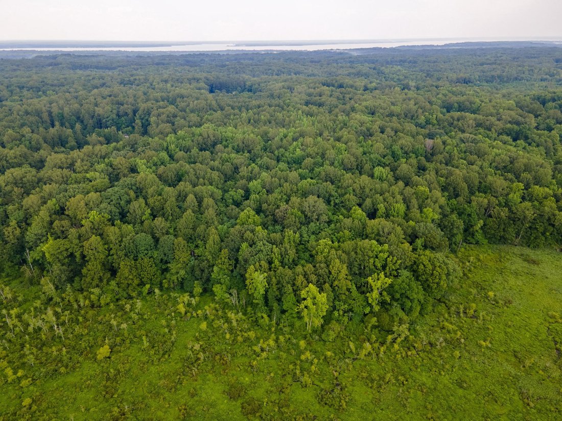 Land in King George, Virginia, United States 2 - 17987075