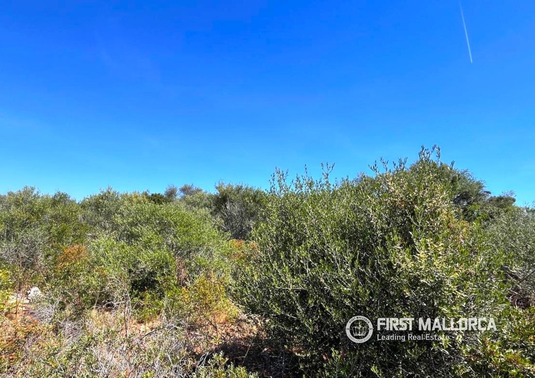 Land in Cala d'Or, Santanyi, Balearic Islands 4 - 17985376
