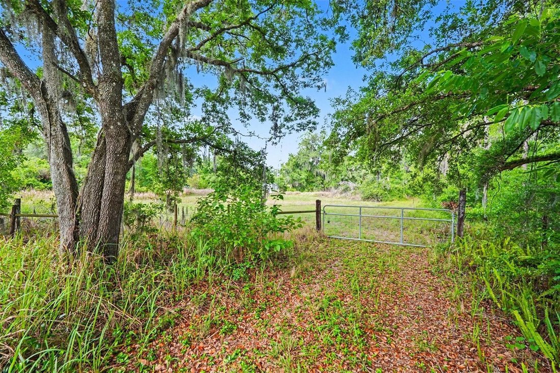 Land in Plant City, Florida, United States 1 - 17984012
