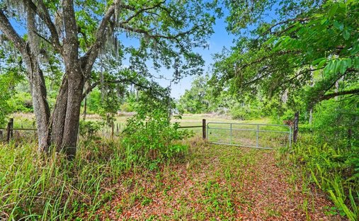 Land in Plant City, Florida, United States 1