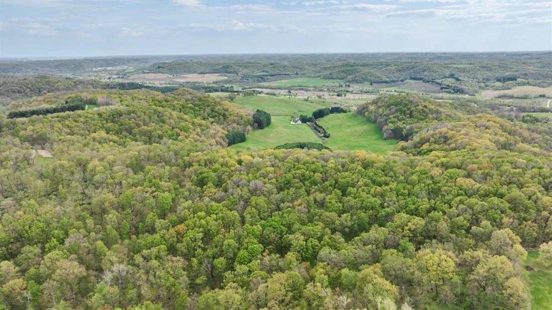 House in Richland Center, Wisconsin, United States 3 - 17984845