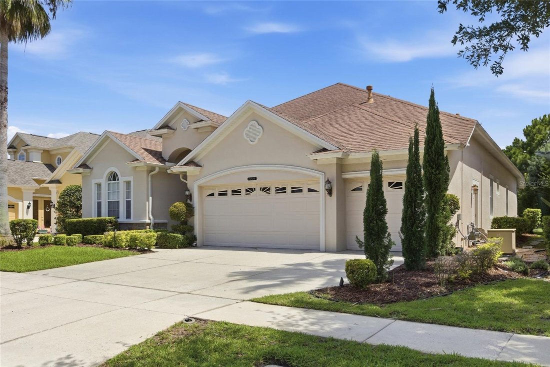 House in Tampa, Florida, United States 4 - 17990984