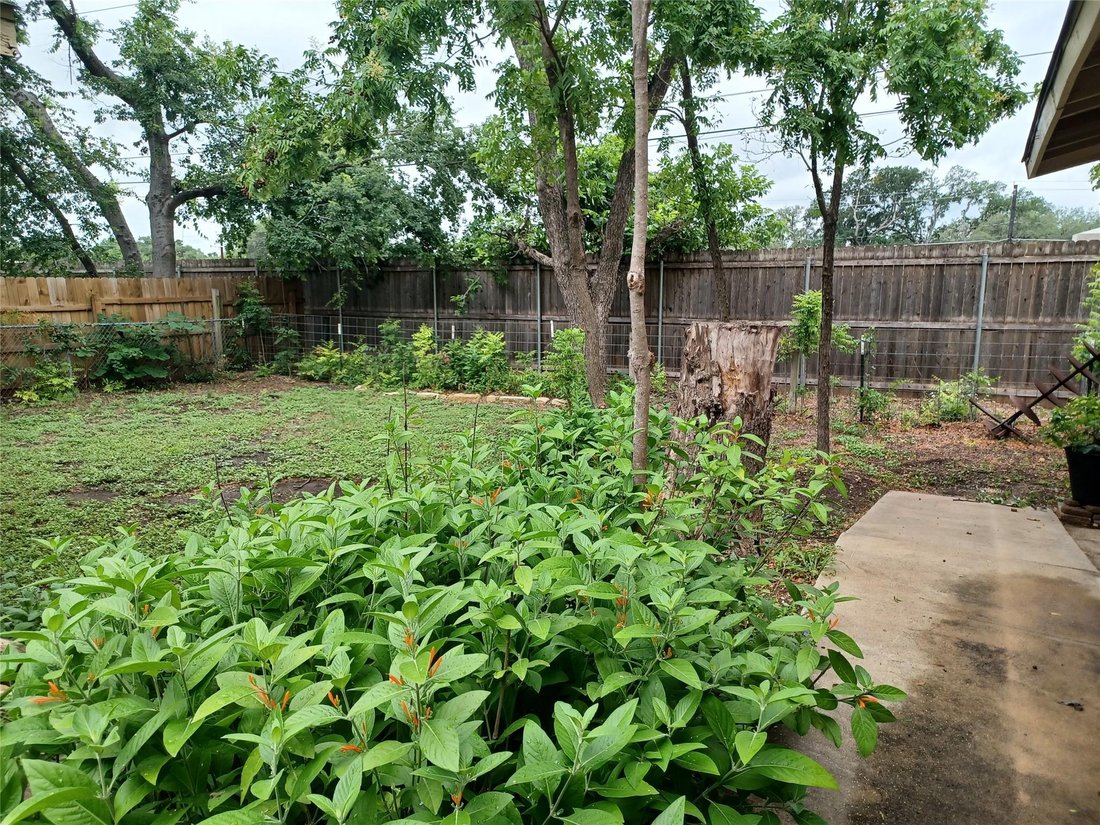 House in Austin, Texas, United States 5 - 17994444