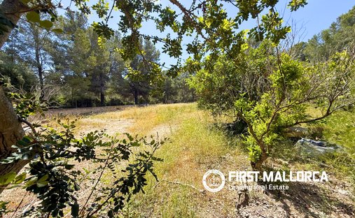 Land in Santa Ponsa, Balearic Islands, Spain 1