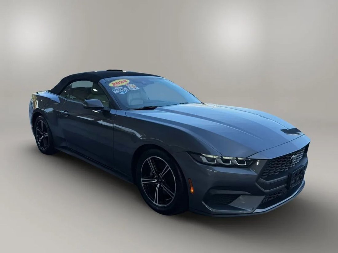 Cabriolet in Fort Myers, FL, United States 5 - 17995281