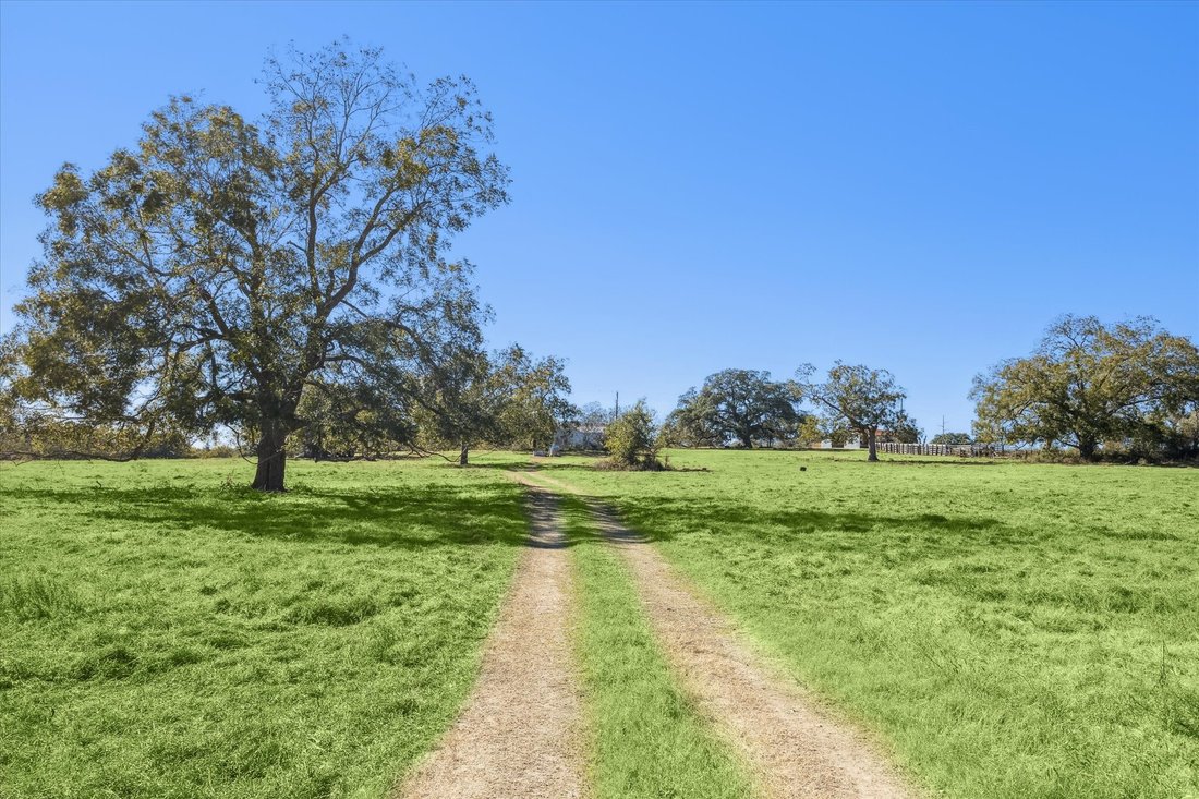 Farm Ranch in Fayetteville, Texas, United States 1 - 17991461