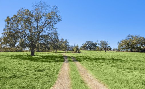 Farm Ranch in Fayetteville, Texas, United States 1