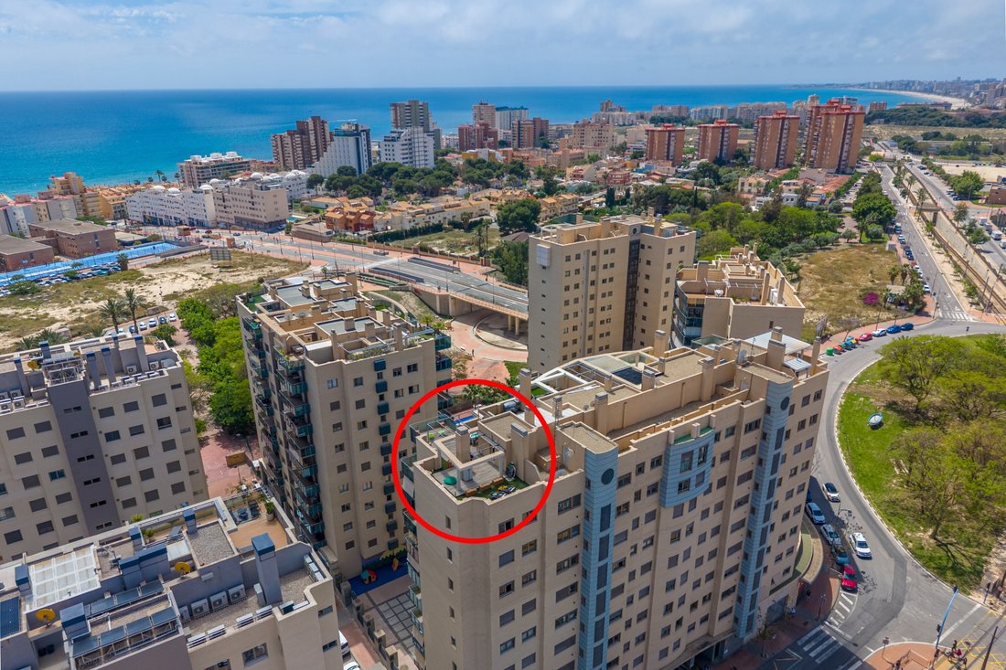 Apartment in el Campello, Valencian Community, Spain 3 - 17986215