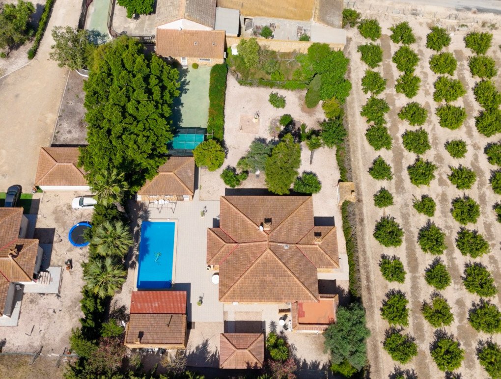 Country House in Daya Vieja, Valencian Community, Spain 5 - 17984402