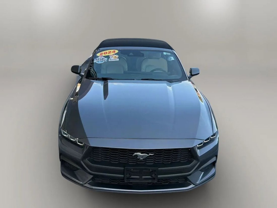 Cabriolet in Fort Myers, FL, United States 3 - 17995281