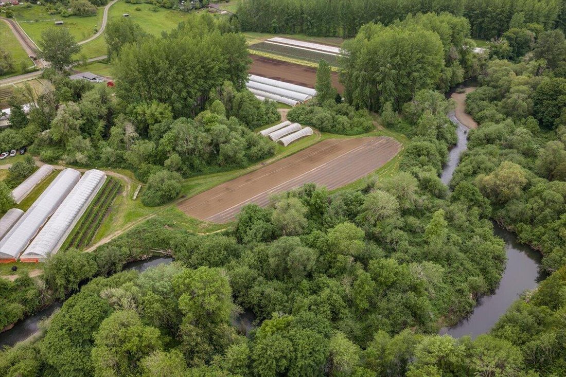 House in Philomath, Oregon, United States 1 - 17989526